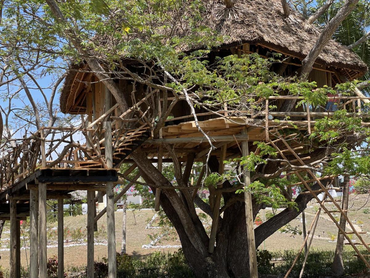 Antonio Beach Tree House Hotel & Spa Uroa Exterior foto