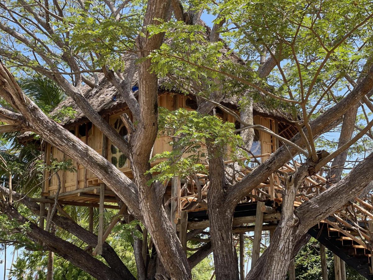 Antonio Beach Tree House Hotel & Spa Uroa Exterior foto