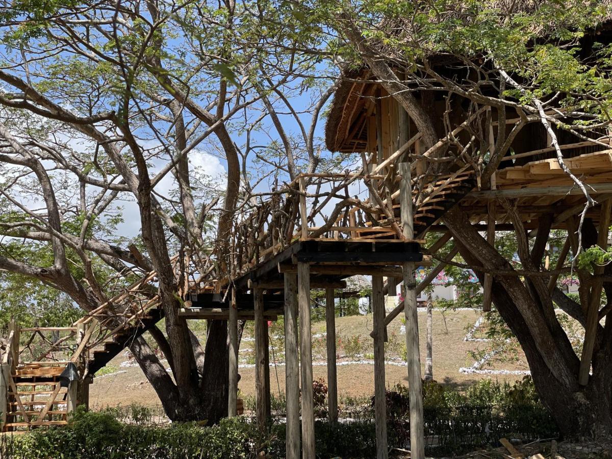 Antonio Beach Tree House Hotel & Spa Uroa Exterior foto